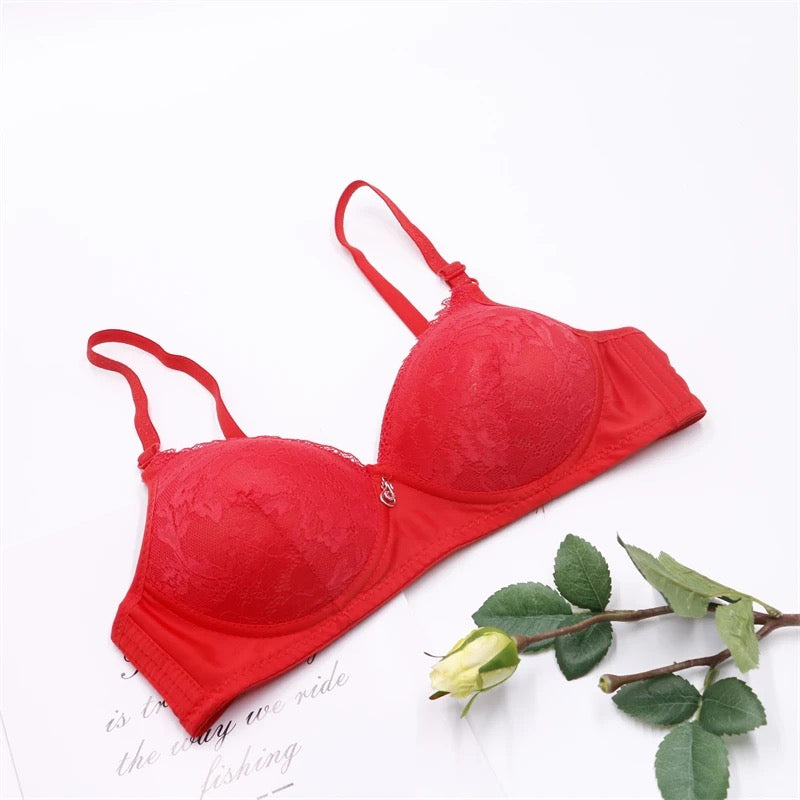 Daily Wear Non Wire Soft Pad Bra