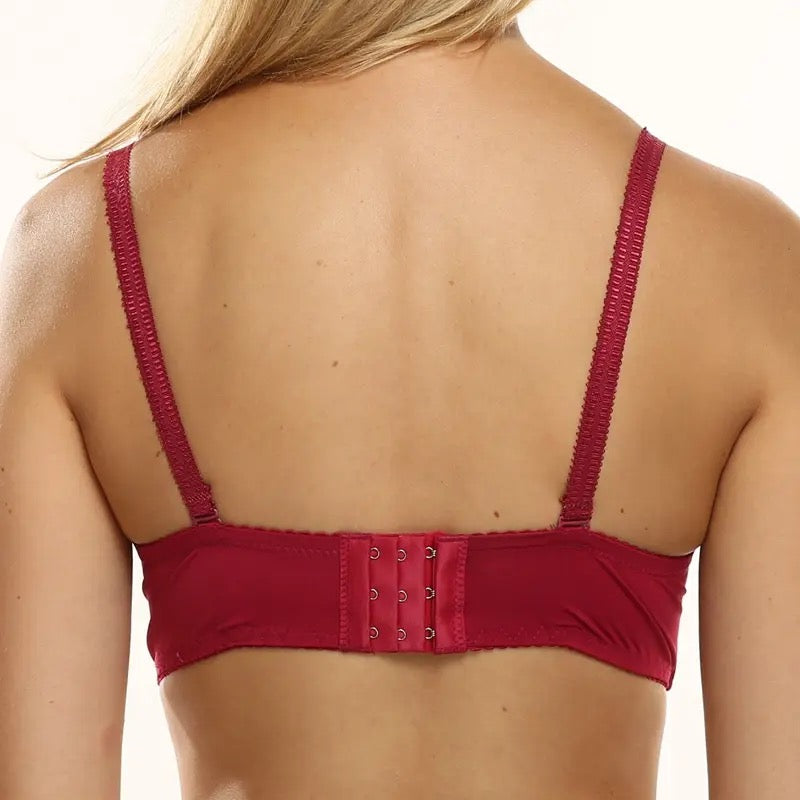 LISA’s SECRET SINGLE PADDED WIRE BRA (pack of 2)