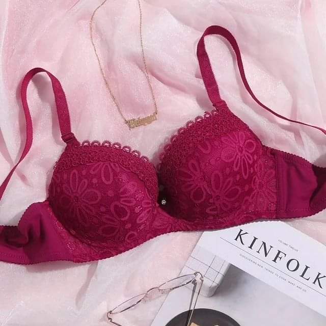 Binnys CCup Bra With Net Full Cup And Flexible Stuff