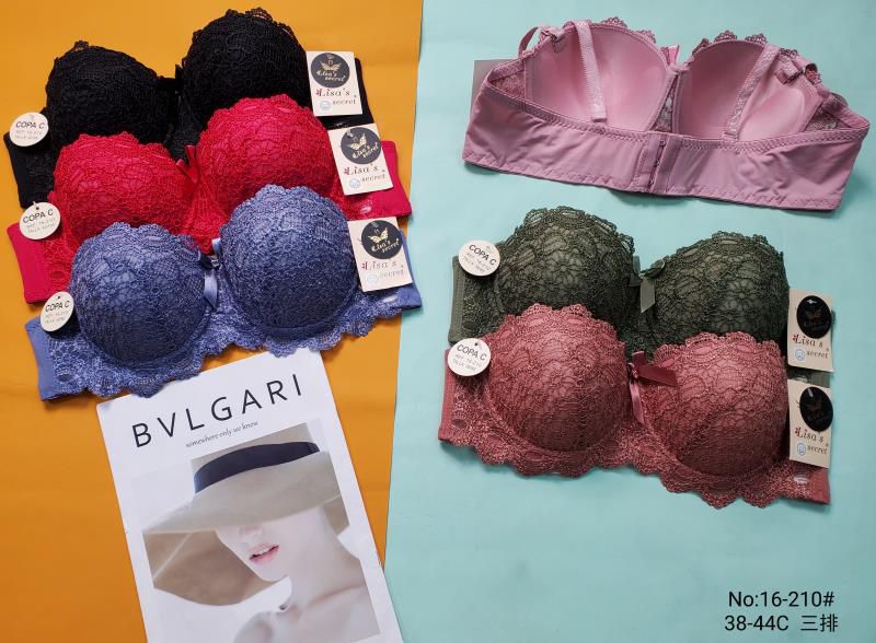 Single Padded Ring Bra With Net Embroidered Style