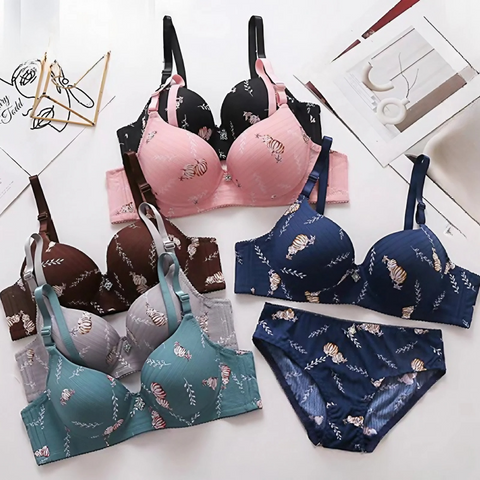 Elegant Fabulous Stylish Padded Bra set