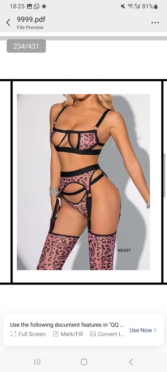 New Arrival 4PCS Lingerie Suit Mesh Embroidery Perspective Temptation Underwear Garter Belt Panties