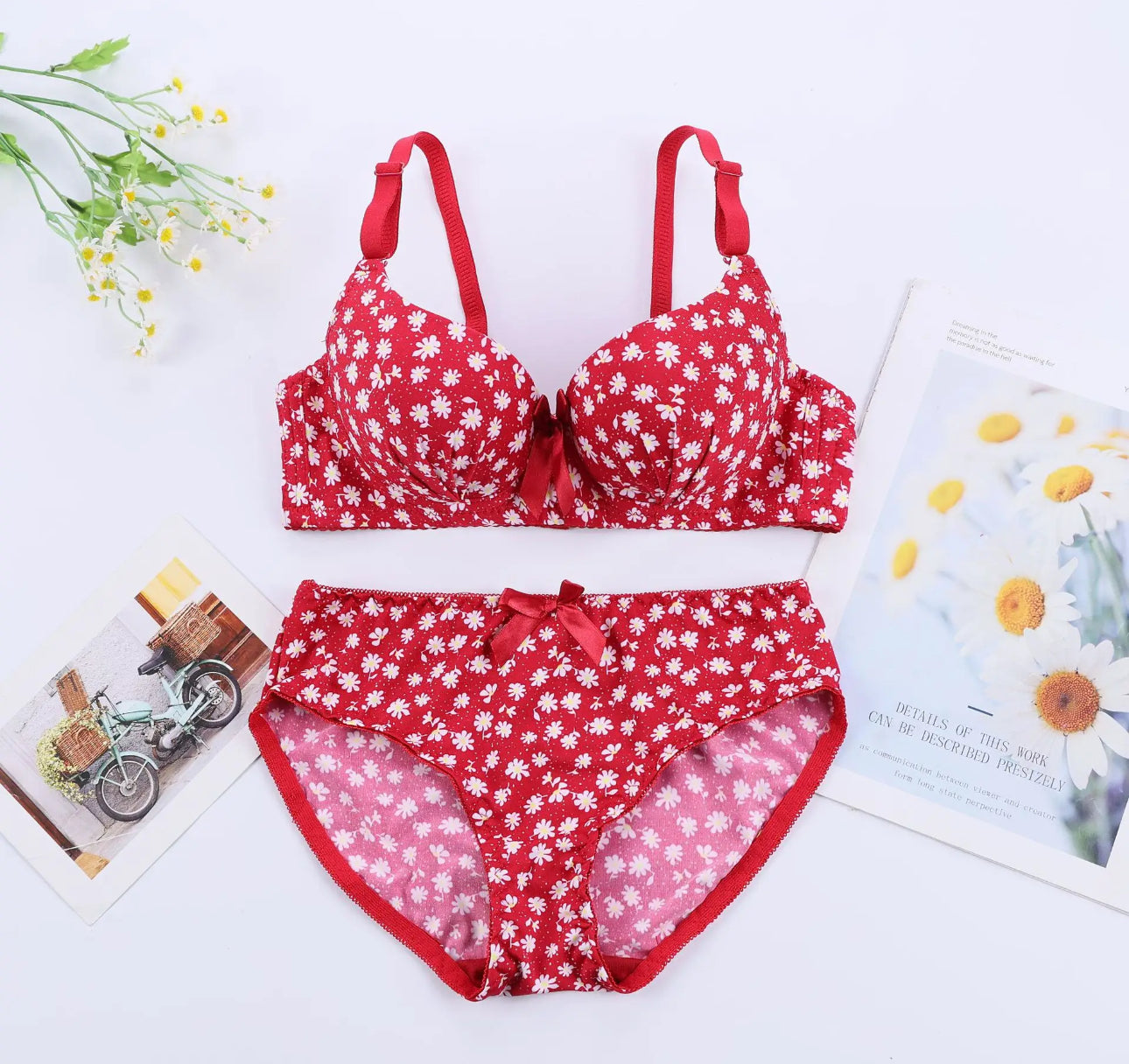 High Quality Lingerie Floral Push Up Bras set